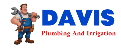 Trusted plumber in DE VALLS BLUFF